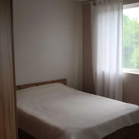 Complex Ruzh Apartment *